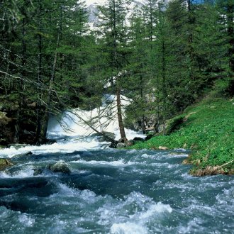 1000 cascades Baratier